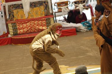 Drime Kunden - Tibetan Institute of Performing Arts